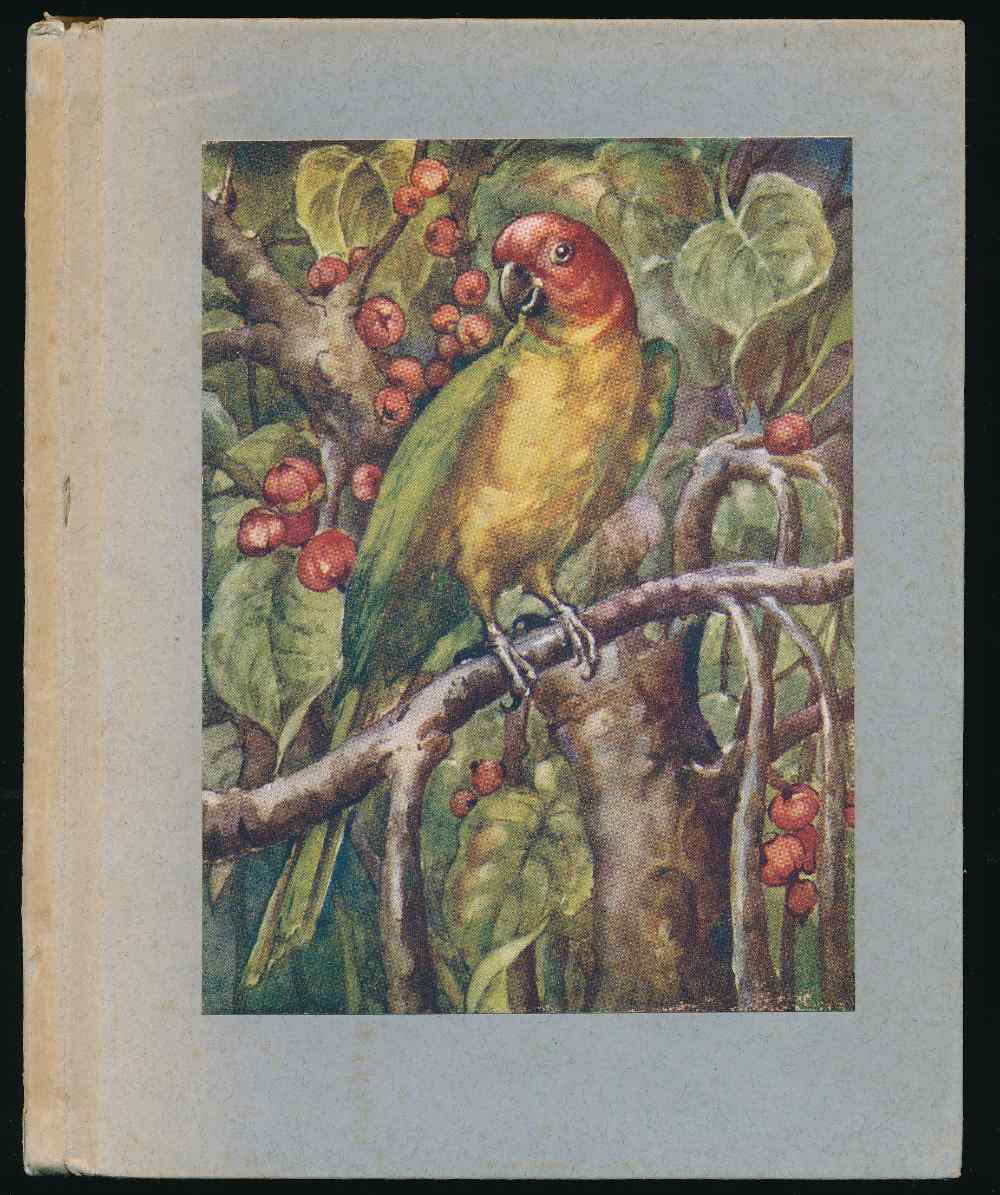 Story of a parrot