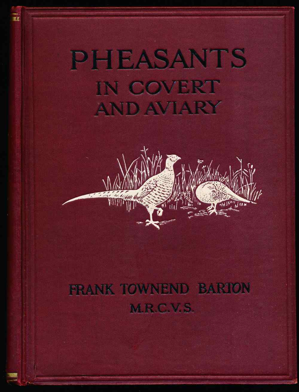 Pheasants in covert and aviary