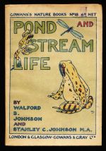 Pond and stream life