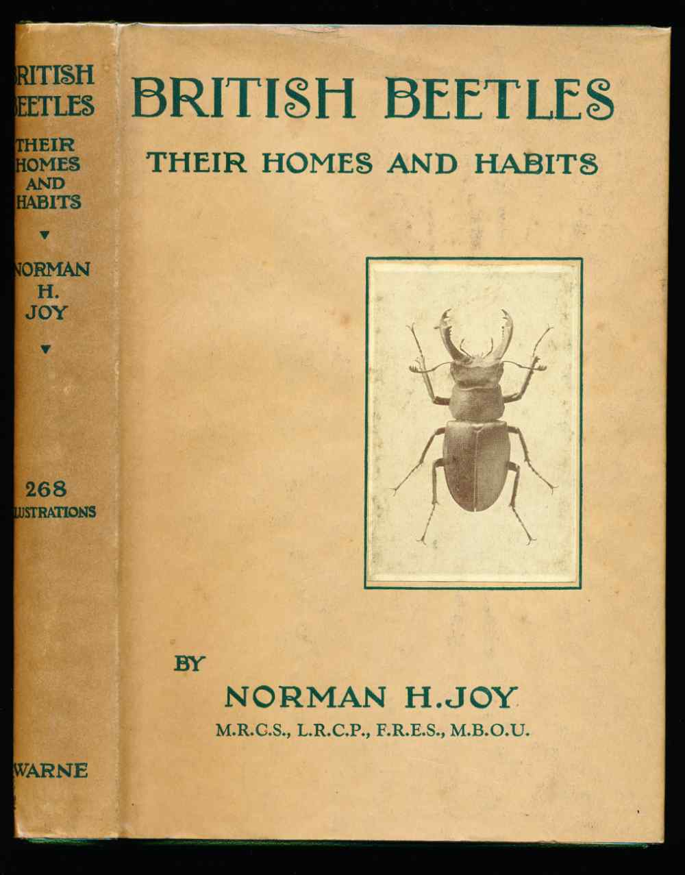 British beetles: their homes a...