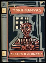 Torn canvas: an autobiography