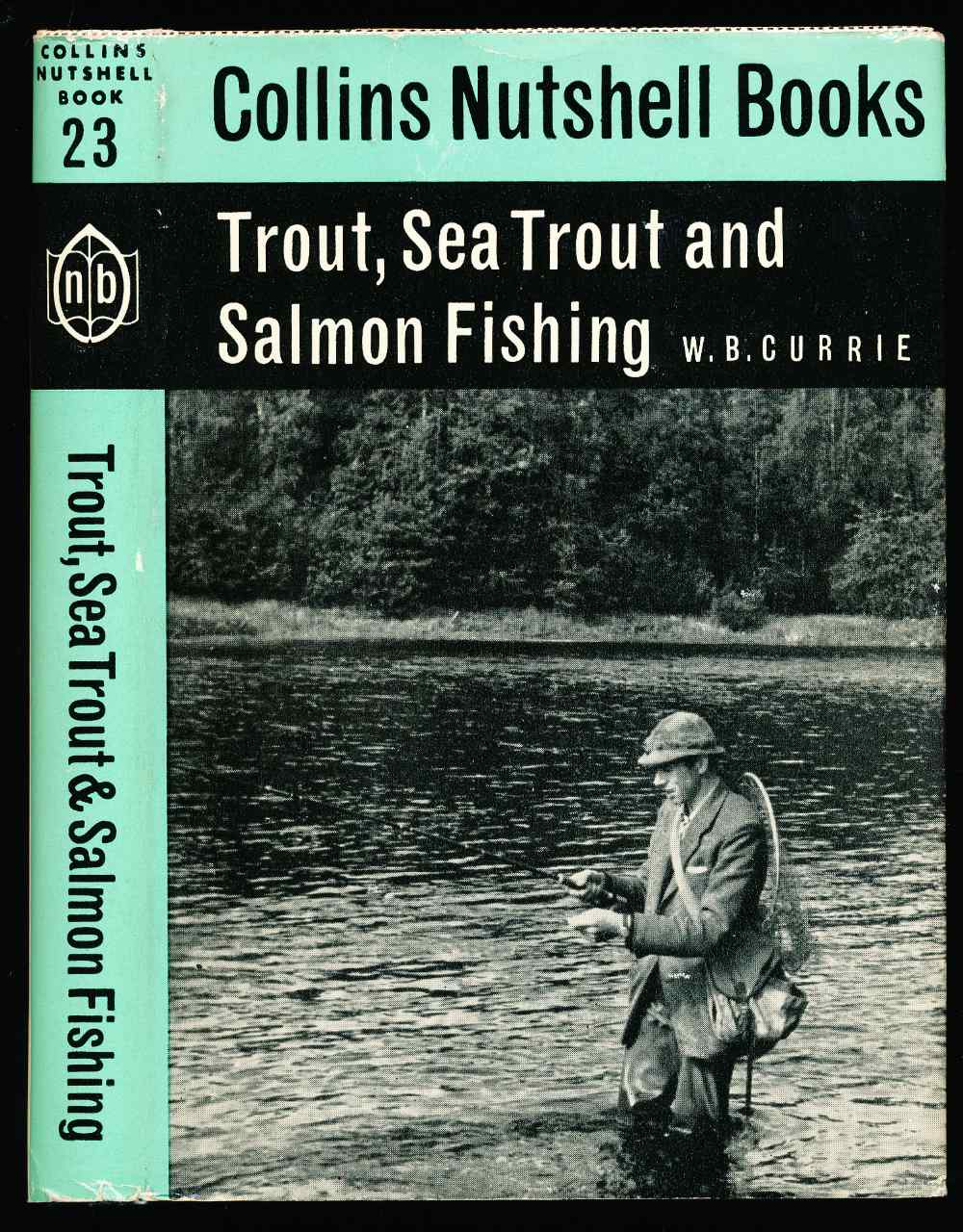 Trout, sea trout and salmon fi...