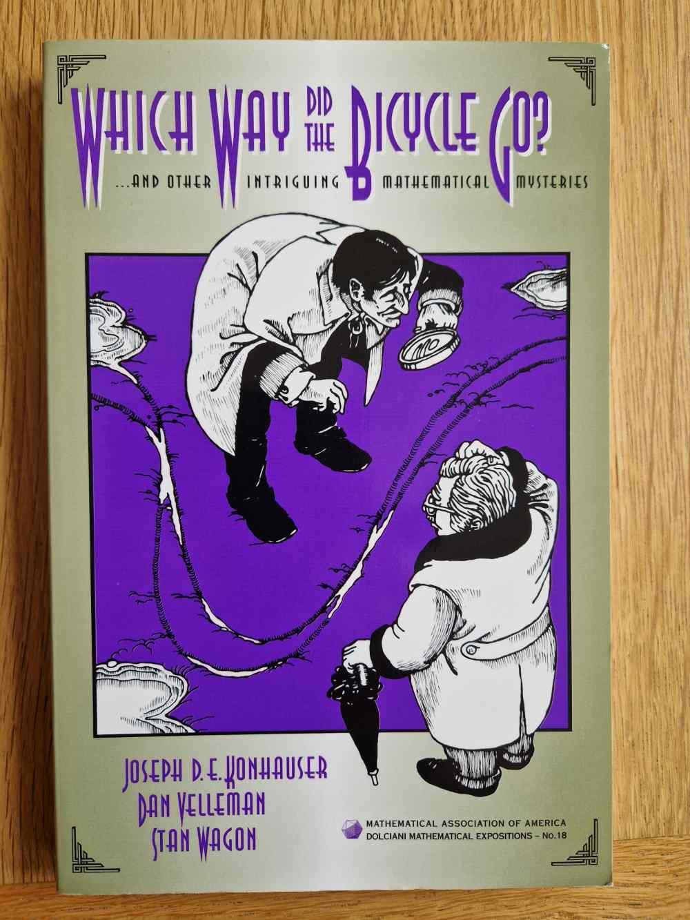 Which way did the bicycle go? ...