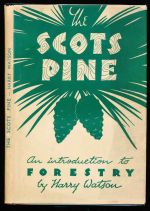 The Scots pine: an introduction to forestry