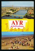 Ayr official guide